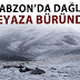 Trabzon'da dağlar beyaza büründü