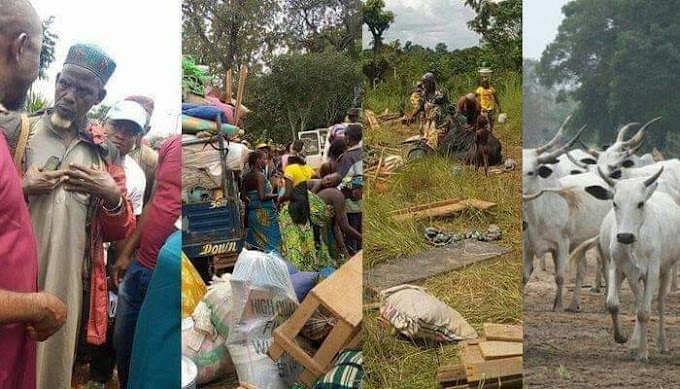 Ruga Finally Established In Ebonyi State, Herders And Families Arrive In Numbers