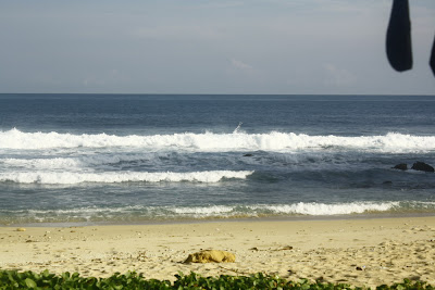 jogja beach photo sea picture