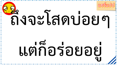 แคปชั่นคนโสด คำคมคนโสด