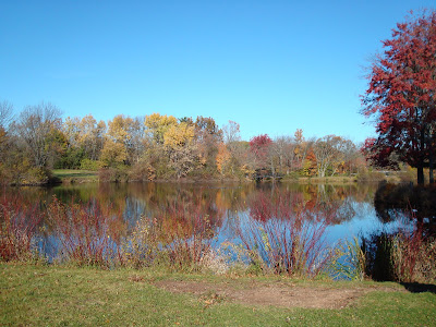 Local pond