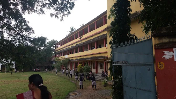 NSS Higher Secondary School Palkkulangara, NSS HSS Palkkulangara