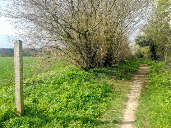 Graveley bridleway 5 over Brooks Hill