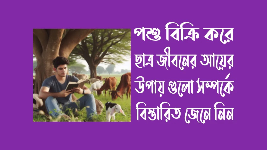 ছাত্র-জীবনে-অর্থ-উপার্জনের-উপায়