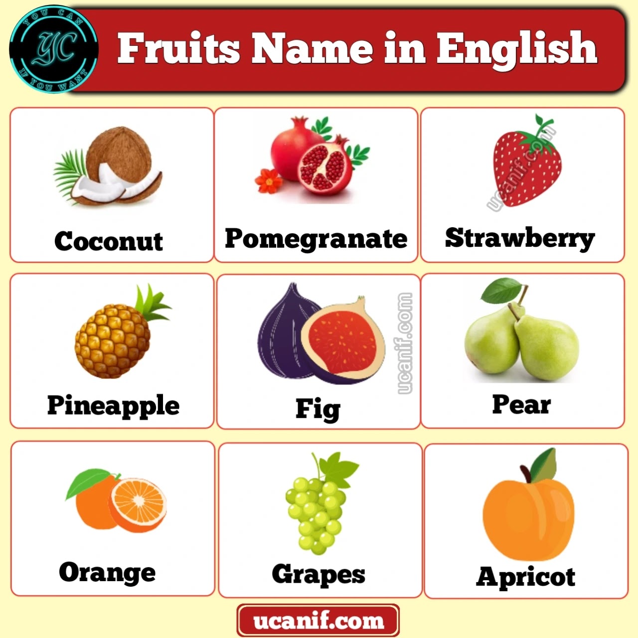 Fruits Name, Fruits Name in English, fruit in english with pictures