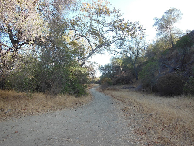 Fall Hike In California