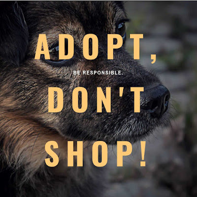 National Spay And Neuter Day