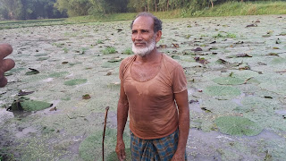 makhana-farming-purnia