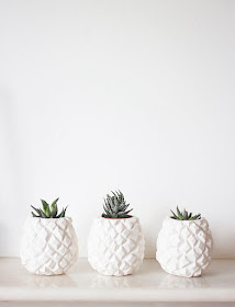 tendencia-decoracao-ananas-vaso-planta