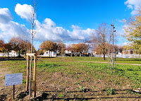 arbre de la fraternité planté à Bergerac le 7 octobre 2023