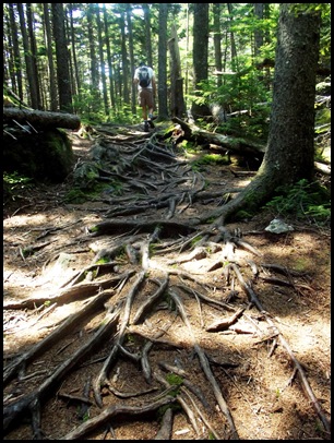 Hiking to Ocean Overlook (56)