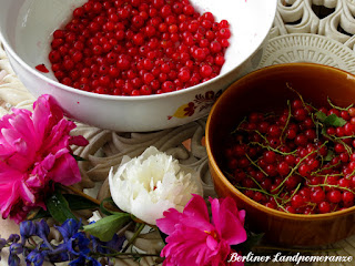 Johannisbeeren