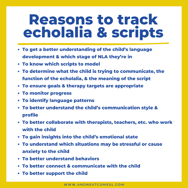Reasons why you should track echolalia and the scripts a child uses