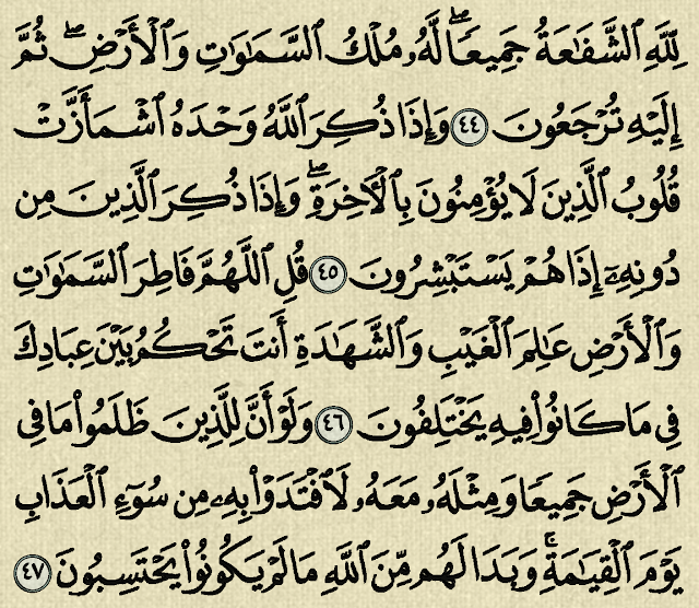 شرح وتفسير سورة الزمر Surah Az-zumar (من الآية 41 إلى الآية 52 )