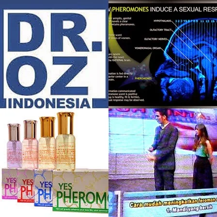 Dr Oz Indonesia Parfum Feromon Pria