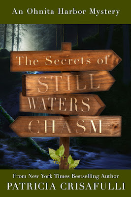 book cover of mystery novel The Secrets of Still Waters Chasm by Patricia Crisafulli