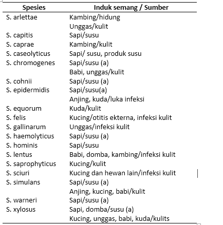 Bakteri Staphylococus sp.pada Hewan (Mikrobiologi)