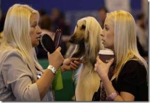 Pet_Owner5