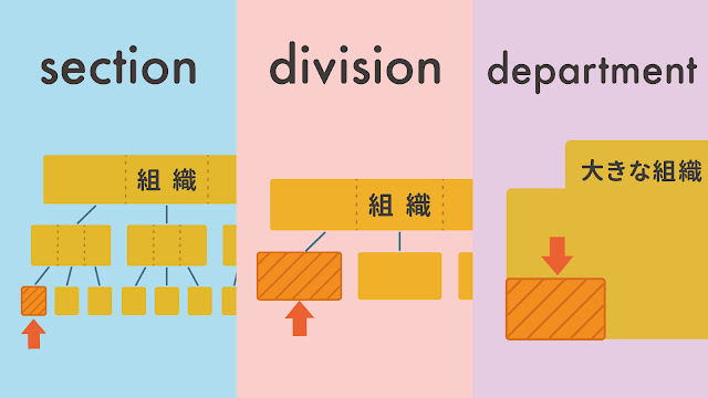 section と division と department の違い