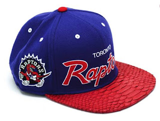 Raptors snakeskin cap Made by Mitchell ness and strapbacks Apparel