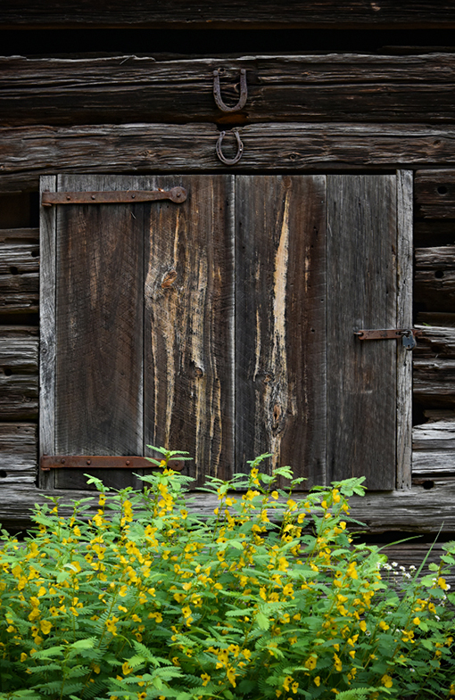 Smith Family Farm | Atlanta History Center | Photo: Travis Swann Taylor