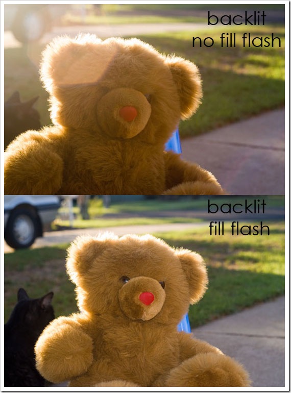 back lit fill no fill