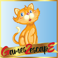 Games2Escape Cute Little Kitty Rescue