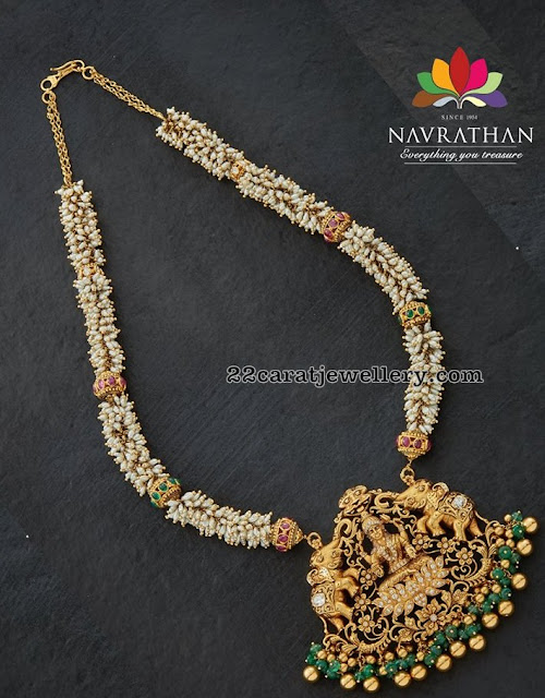 Lakshmi Haram Designs by Navrathan Jewellers