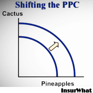 Shifting the PPC Graphs  macroeconomics
