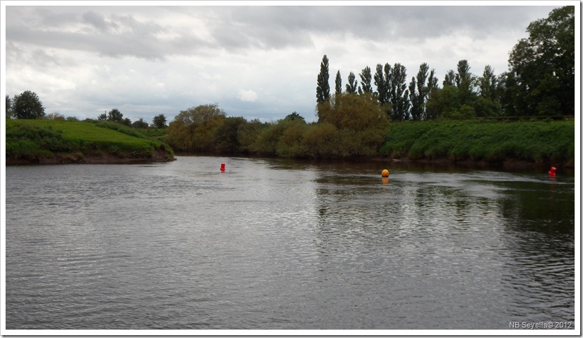 SAM_3112 River Nidd