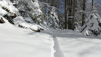 Fattie-Spur im Novemberschnee