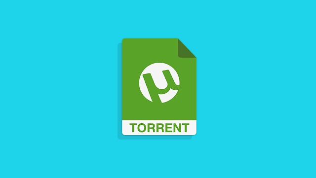 How to Download Torrent Files with IDM