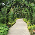 Tropical Garden Design Ideas