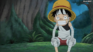 ワンピースアニメ 幼少期 495話 ルフィ かわいい Monkey D. Luffy | ONE PIECE Episode 495