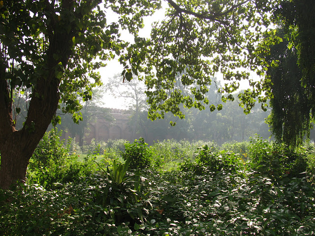 gardens under trees around the edge