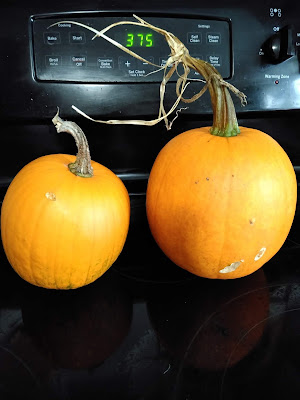 Pumpkins on a stove top, with an oven reading