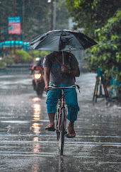 pavsalyat kay kalji ghayvi things to tahe care in monsoon in marathi