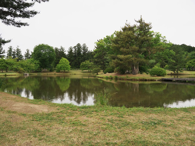 観自在王院跡 舞鶴が池の画像