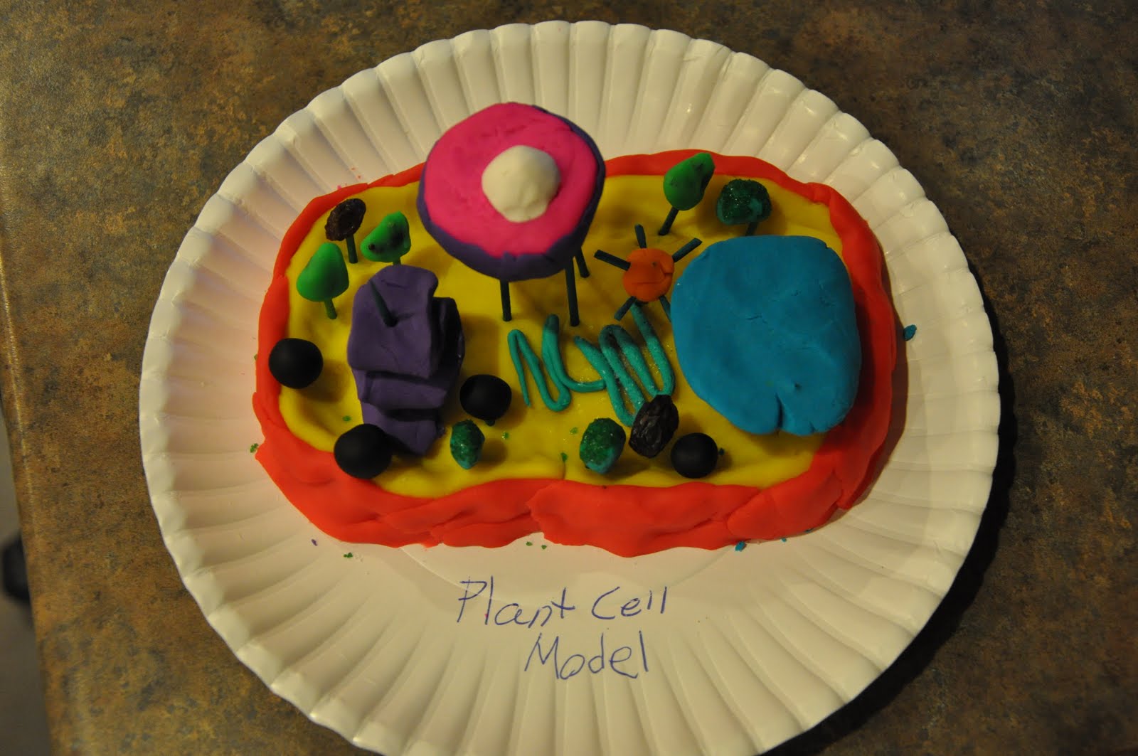 3D Plant Cell Model Project Ideas
