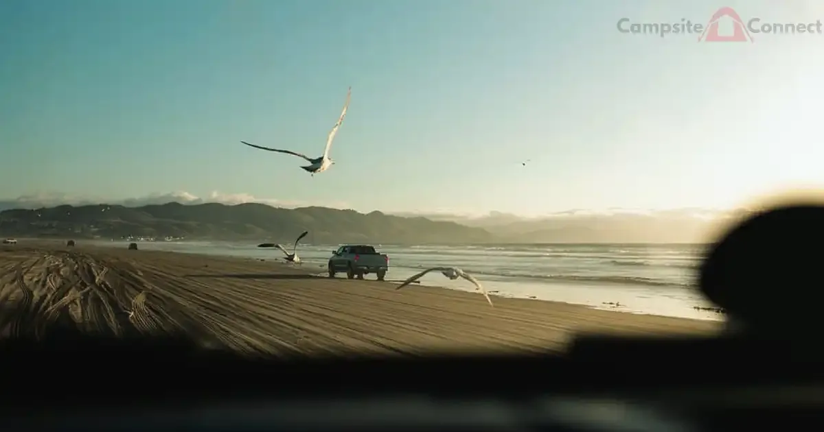 Pismo Beach Camping: Unforgettable Coastal Adventures