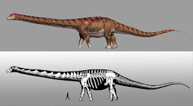 Patagotitan mayorum - el mayor animal terrestre de la historia