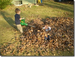 November 2008 034