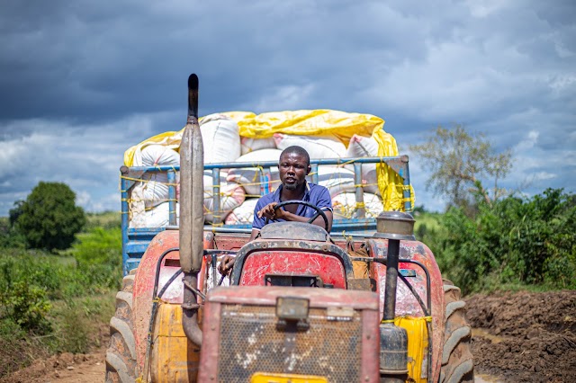  WANANCHI WAIPONGEZA TANROADS-MOROGORO KWA KUREJESHA MIUNDOMBINU YA BARABARA WILAYANI MALINYI