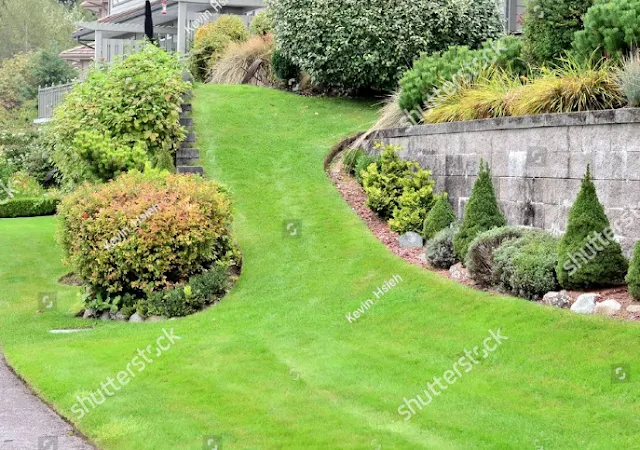 landscaping.jpg