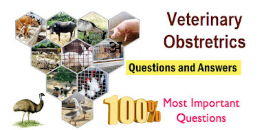 Veterinary Obstetrics MCQS