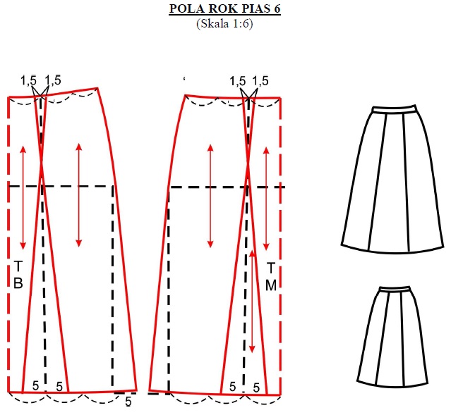 POLA ROK PIAS 6 (Skala 1:6)