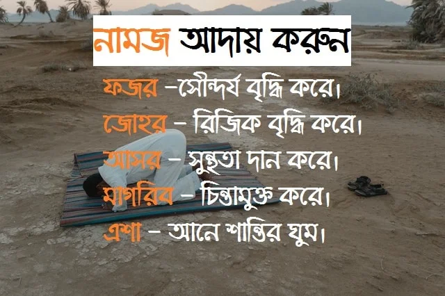 হাদিসের পিক