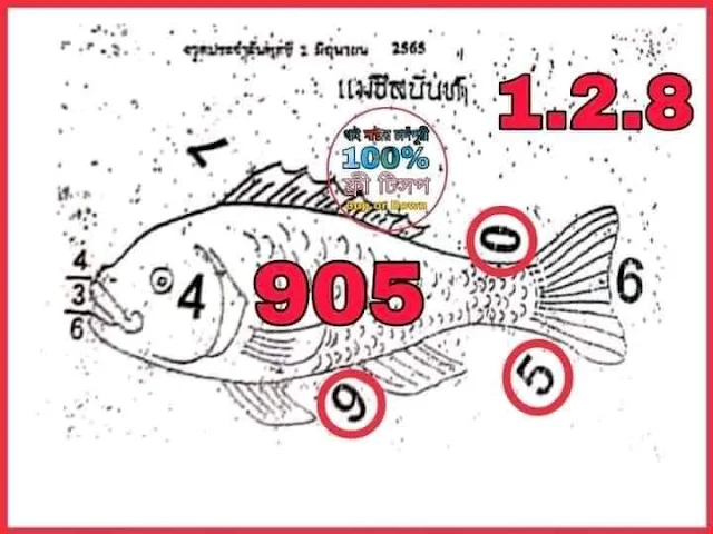 16/5/2022 VIP 3Up Sure Number Thailand Lottery - 3up pair 16/5/2022