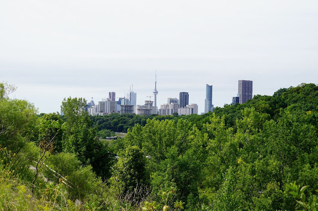 View of Toronto skyline from Evergreen Brickworks