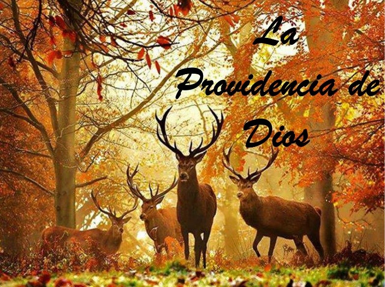 La Providencia de Dios